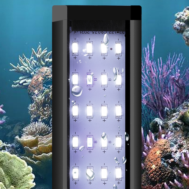 Lumière LED professionnelle po - Reef Lighting avis et prix