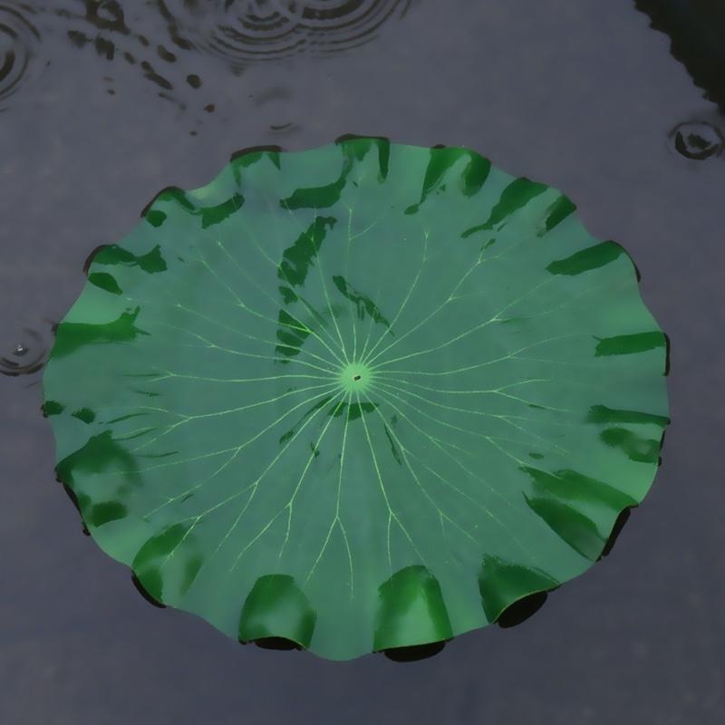 Nouvelles feuilles de lotus ar - Ocean Aquarium avis et prix