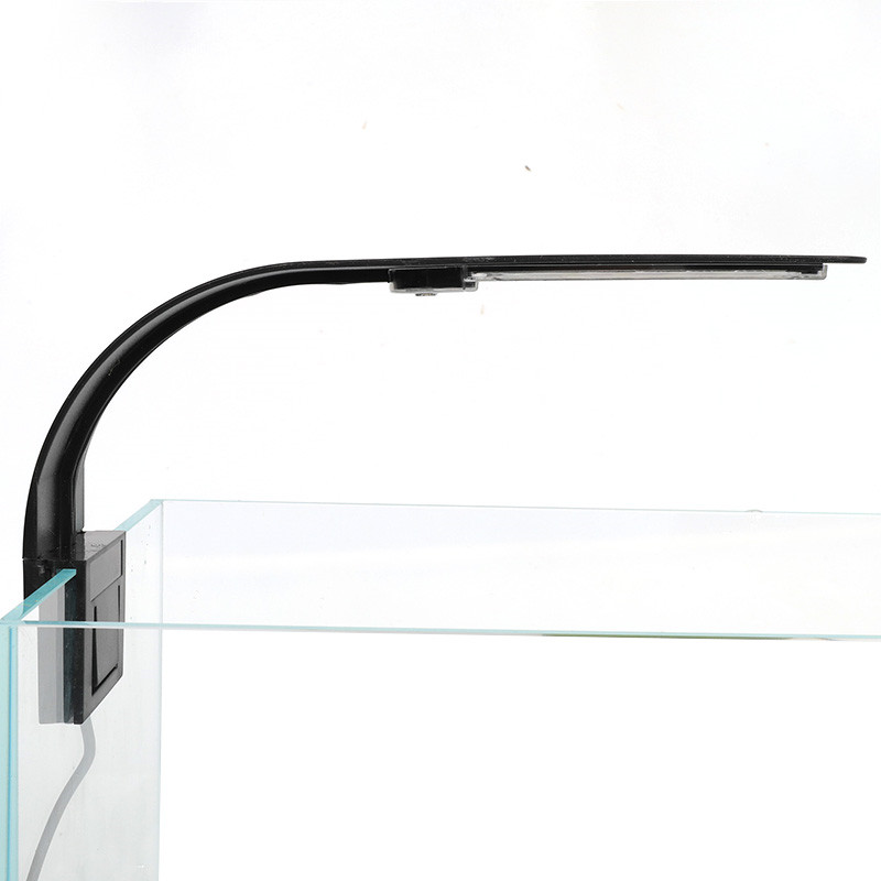 Lampe de croissance pour plant - Reef Lighting avis et prix