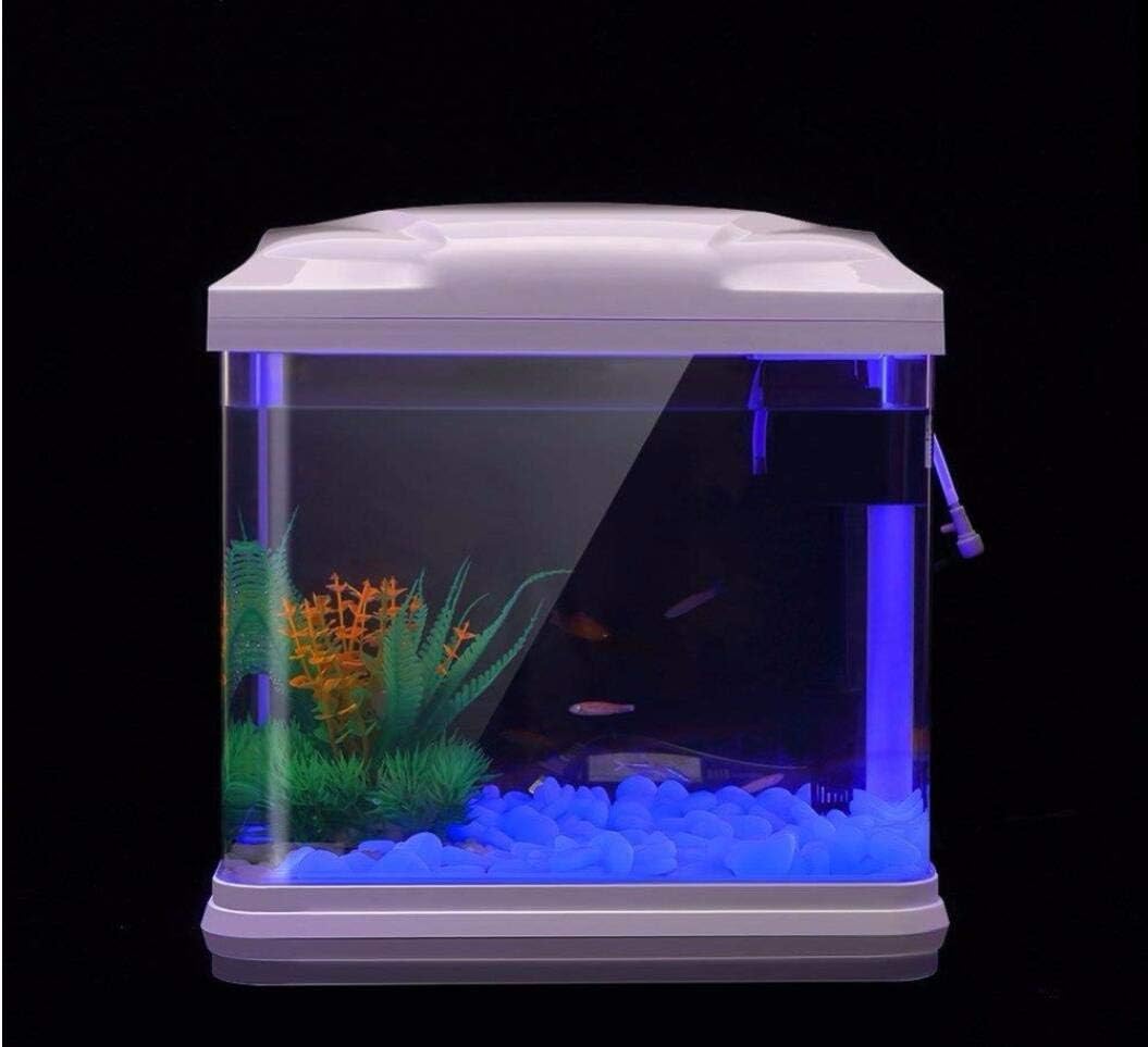 Roches d'aquarium scintillante - Ocean Aquarium avis et prix