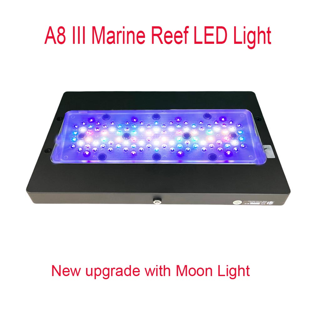 A8 III Moon Light : Lampe puis - Marine Coral avis et prix
